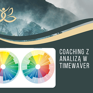 Coaching, fragment koła z analizy TimeWaver