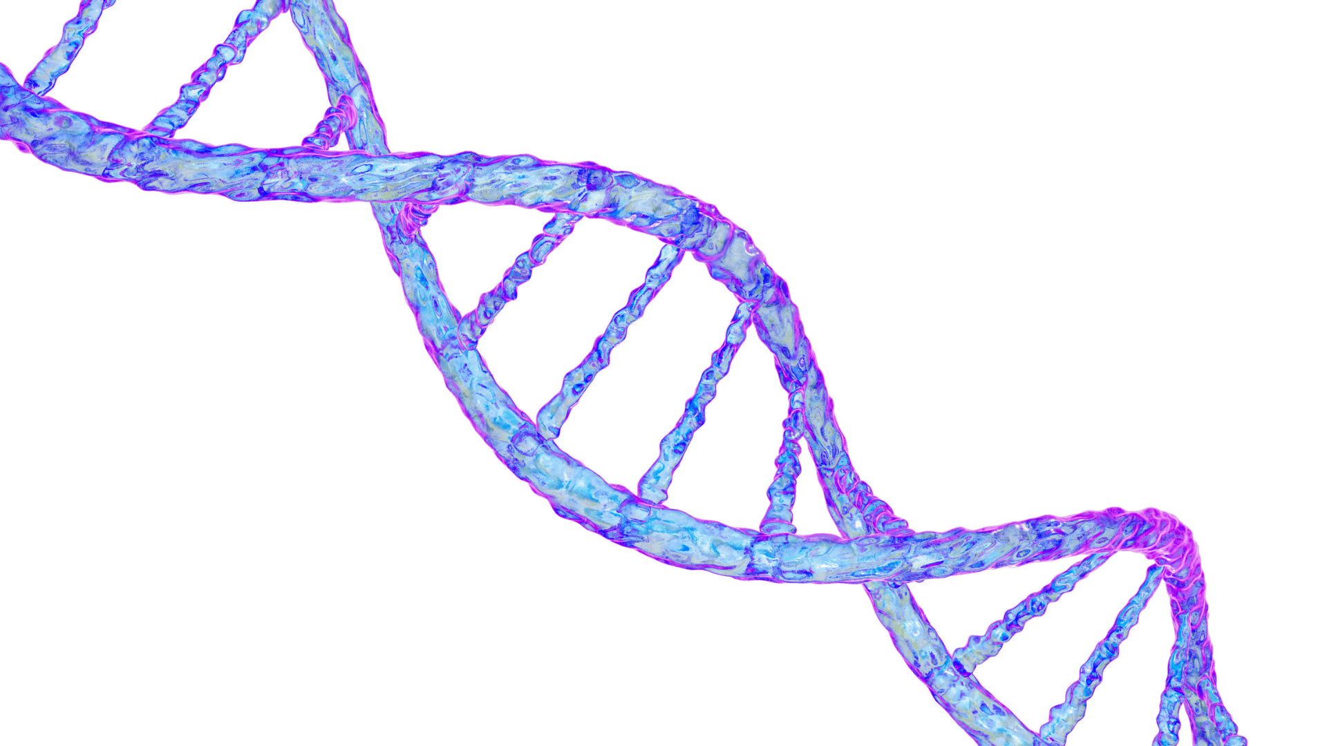 Fragment DNA